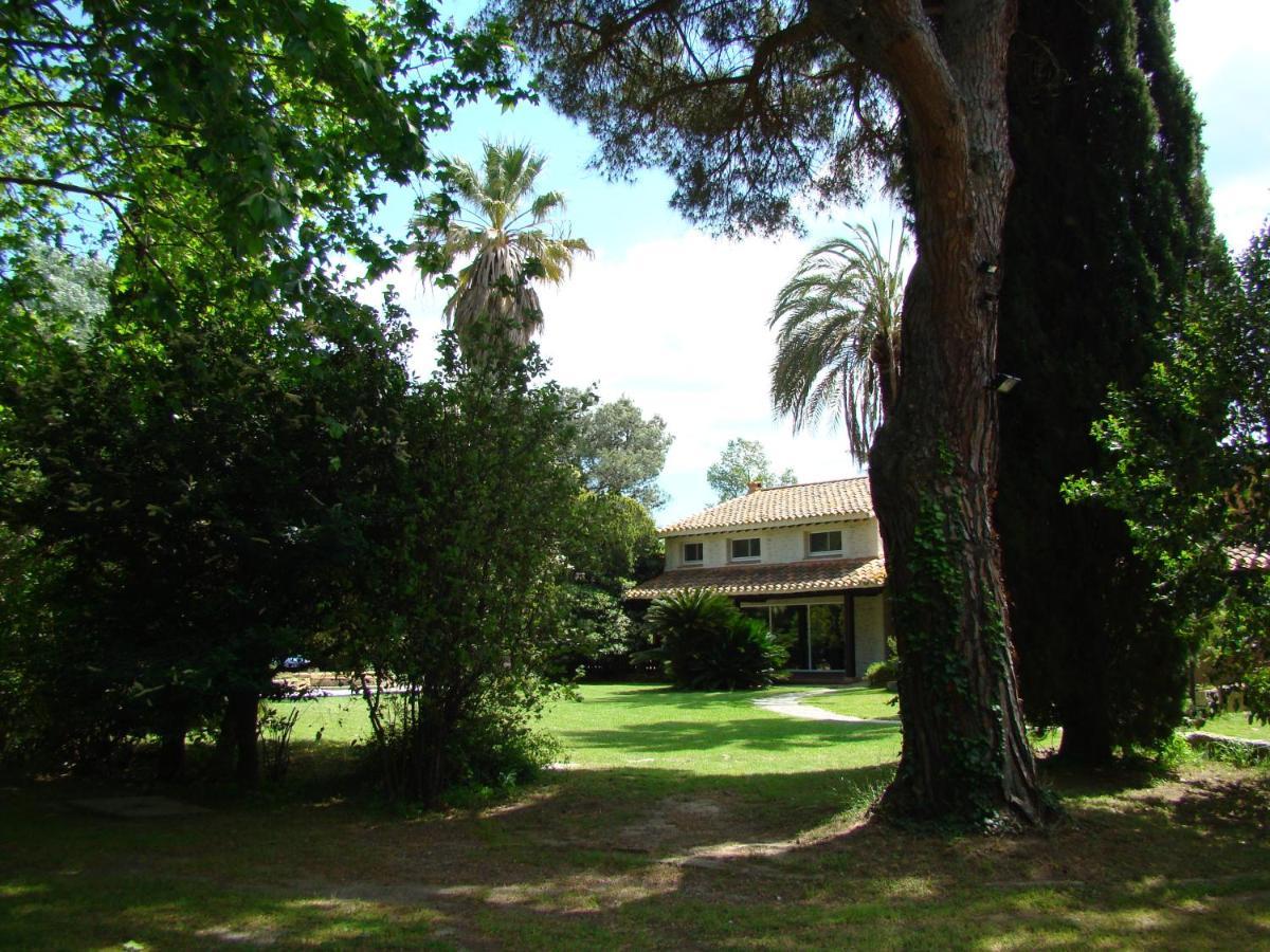 La Villa Saint Andre - Argeles Sur Mer Экстерьер фото